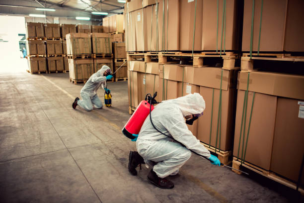 Best Flea Control Services  in Forsyth, IL
