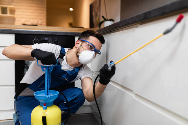 Best Best Pest Control Companies  in Forsyth, IL
