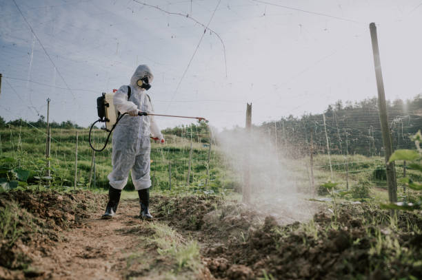 Best Best Pest Control Companies  in Forsyth, IL