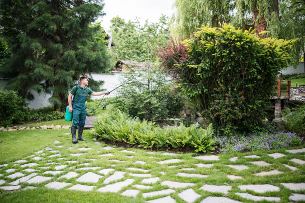 Best Pest Prevention Services  in Forsyth, IL