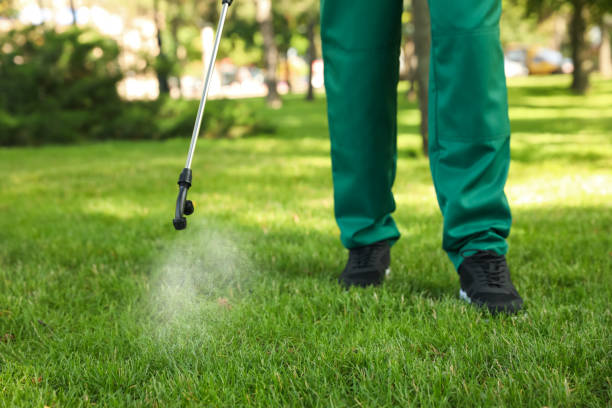 Best Ant Control Services  in Forsyth, IL