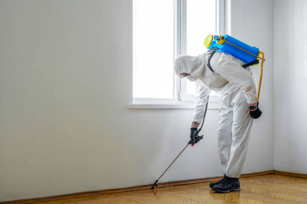 Best Pest Control Near Me  in Forsyth, IL