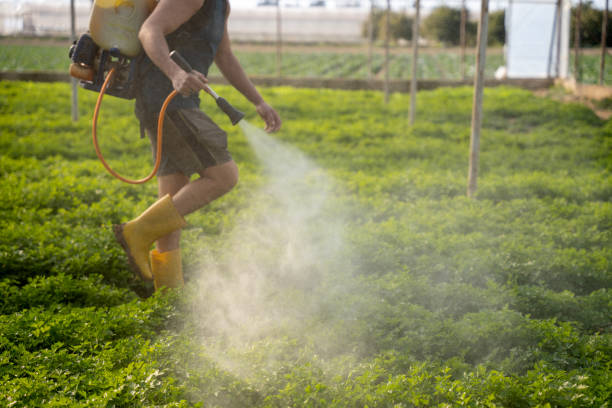 Best Best Pest Control Companies  in Forsyth, IL