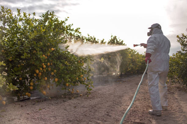 Best Wildlife Control Services  in Forsyth, IL
