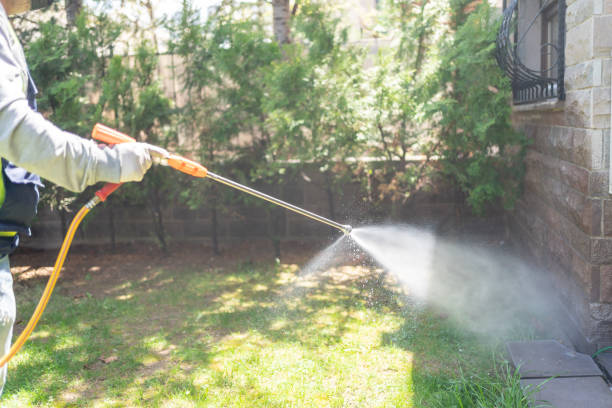 Best Termite Control Services  in Forsyth, IL