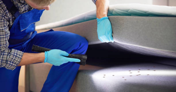 Best Affordable Pest Control Services  in Forsyth, IL