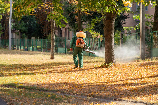 Best Pest Removal Services  in Forsyth, IL
