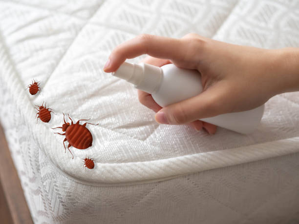 Best Mosquito Control Services  in Forsyth, IL